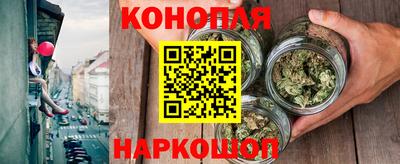 амф Бийск