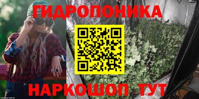 амф Бийск