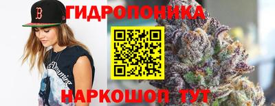 стафф Заволжье