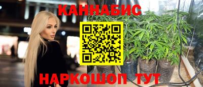 амф Бийск