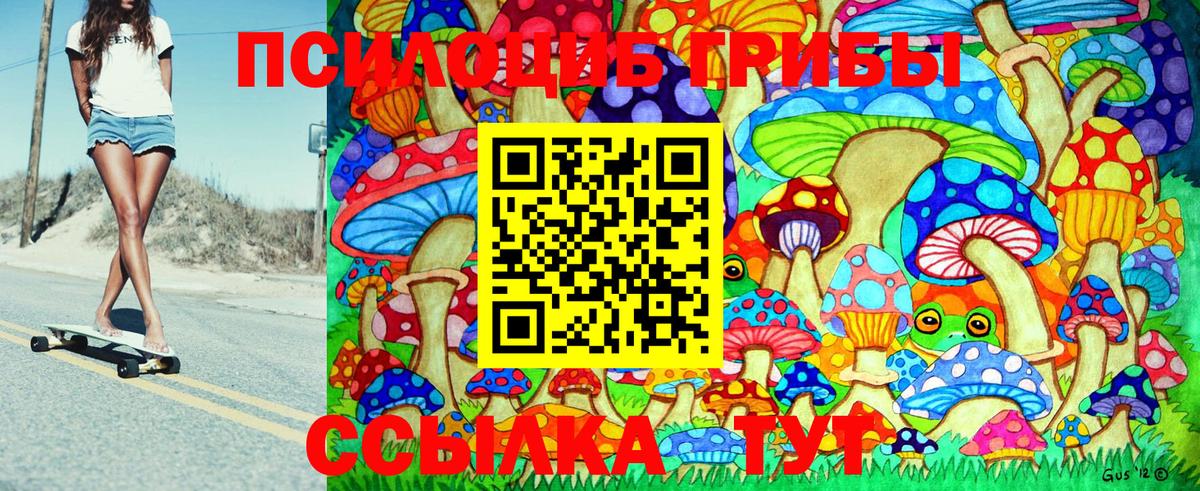 где можно купить наркотик  Жигулёвск  Галлюциногенные грибы MAGIC MUSHROOMS 