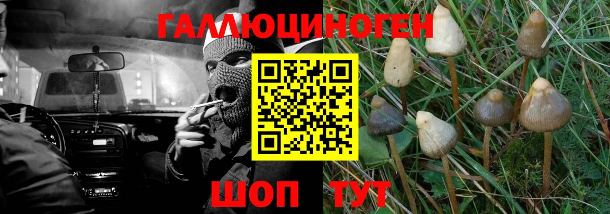 Жигулёвск  Галлюциногенные грибы Psilocybine cubensis  Галлюциногенные грибы мухоморы  Вход с VPN 